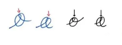 Double loops at the beginning and end of the letters "a" and "o"