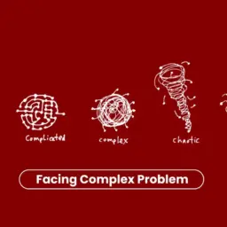 facing complex problems