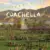 The Creative Psychology Behind Coachella Fashion